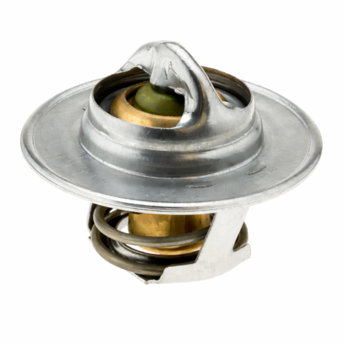 Imagen de TERMOSTATO 160