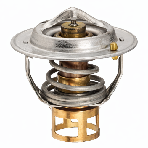 Imagen de TERMOSTATO 180