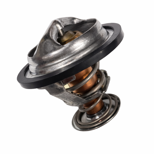 Imagen de TERMOSTATO 180
