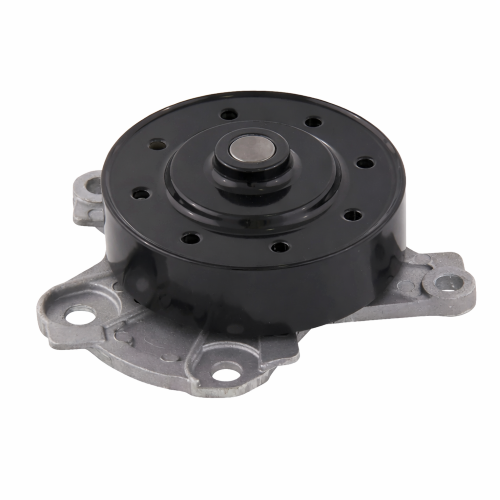 Imagen de BOMBA AGUA P-2191