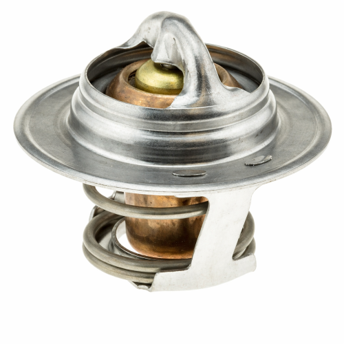 Imagen de TERMOSTATO 195