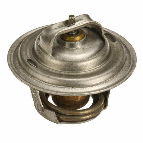 Imagen de TERMOSTATO 195