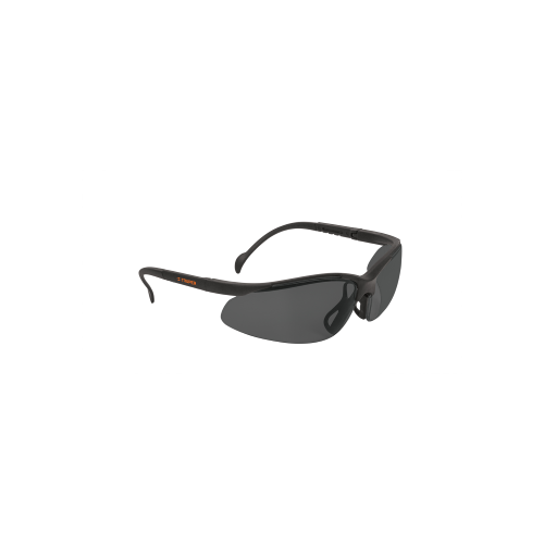Imagen de LENTES SEGURIDAD GRISES VISION